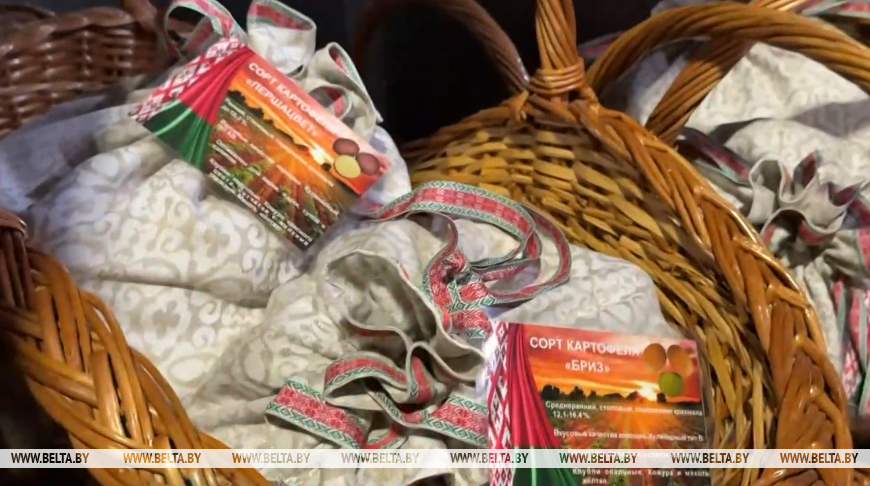 白俄罗斯一套电视频道视频截图