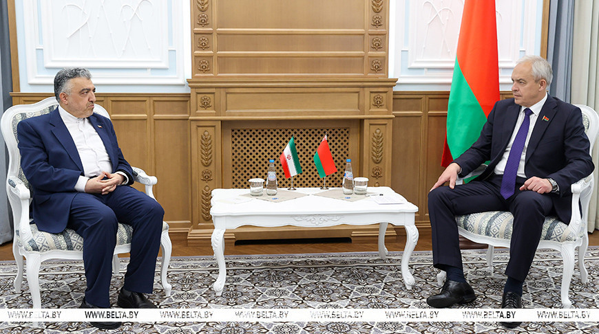 阿里·萨内伊与伊戈尔·谢尔盖延科